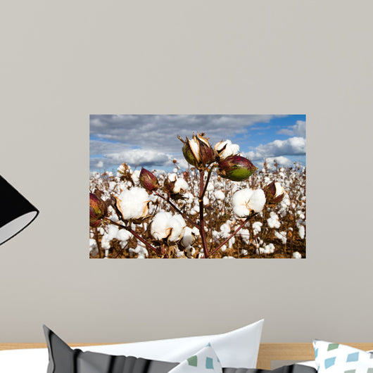 Cotton Bolls Field Wall Decal