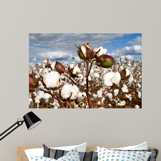 Cotton Bolls Field Wall Decal