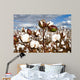 Cotton Bolls Field Wall Decal