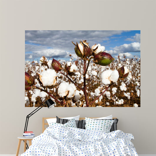 Cotton Bolls Field Wall Decal