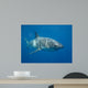 Great White Shark Wall Decal