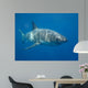 Great White Shark Wall Decal