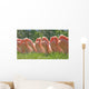 Bare Feet Row Wall Decal