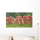 Bare Feet Row Wall Decal