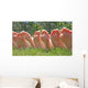 Bare Feet Row Wall Decal