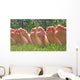 Bare Feet Row Wall Decal