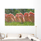 Bare Feet Row Wall Decal