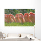 Bare Feet Row Wall Decal