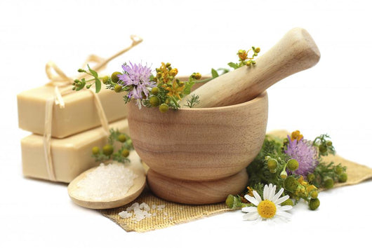 Herbal Treatment Chamomile Tutsan Wall Decal