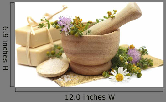 Herbal Treatment Chamomile Tutsan Wall Decal