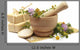 Herbal Treatment Chamomile Tutsan Wall Decal