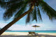 Coconut Beach Wall Decal