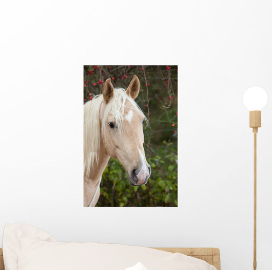 Palomino Wall Decal