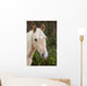 Palomino Wall Decal