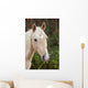 Palomino Wall Decal