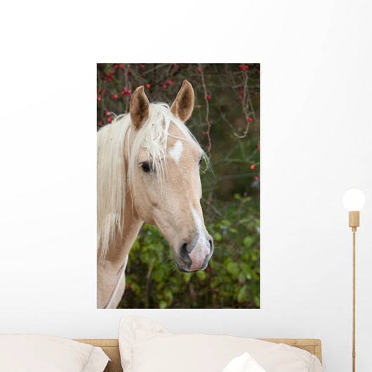 Palomino Wall Decal