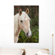 Palomino Wall Decal