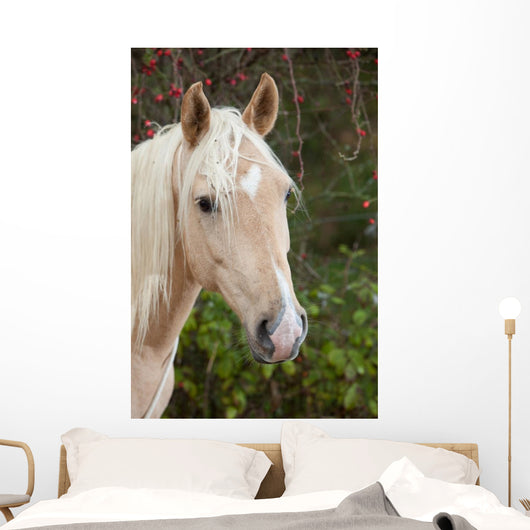 Palomino Wall Decal