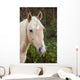Palomino Wall Decal