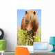 Horse in a Wheat Field Wall Decal