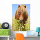 Horse in a Wheat Field Wall Decal