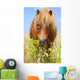 Horse in a Wheat Field Wall Decal