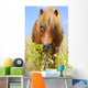 Horse in a Wheat Field Wall Decal
