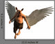 If Pigs Could Fly Wall Decal