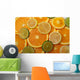 Limes Lemons and Orange Wall Decal