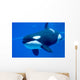 Killer Whale Tank Wall Decal