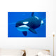 Killer Whale Tank Wall Decal