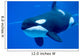 Killer Whale Tank Wall Decal