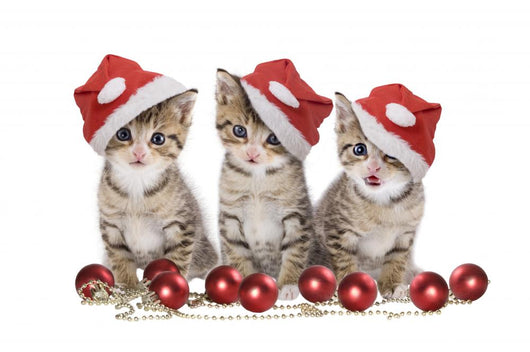 Drei Ktzchen Weihnachten Wall Decal
