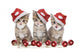 Drei Ktzchen Weihnachten Wall Decal