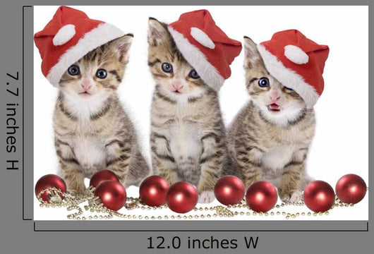 Drei Ktzchen Weihnachten Wall Decal