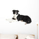 Border Collie Wall Decal