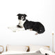Border Collie Wall Decal