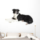 Border Collie Wall Decal