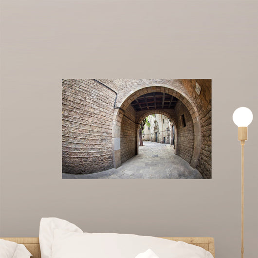 Barcelona's Gothic Quarter Wall Decal