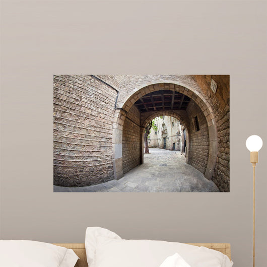 Barcelona's Gothic Quarter Wall Decal