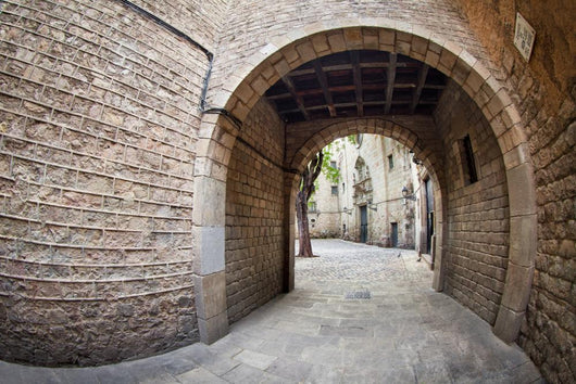 Barcelona's Gothic Quarter Wall Decal