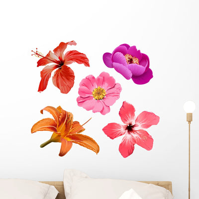 Flowers Vector Set Wall Decal shown on a wall