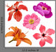 Flowers Vector Set Wall Decal