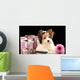 Biewer Terrier Wall Decal