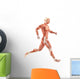 Running Man Muscles Anatomy (Side View) Wall Decal