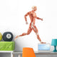 Running Man Muscles Anatomy (Side View) Wall Decal