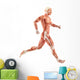 Running Man Muscles Anatomy (Side View) Wall Decal