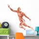Flight Man Muscles Anatomy Wall Decal