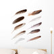 Ten Feathers from Different Wall Decal