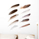 Ten Feathers from Different Wall Decal